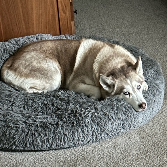 Meet your Posher, Susan - Picture 5 of 5